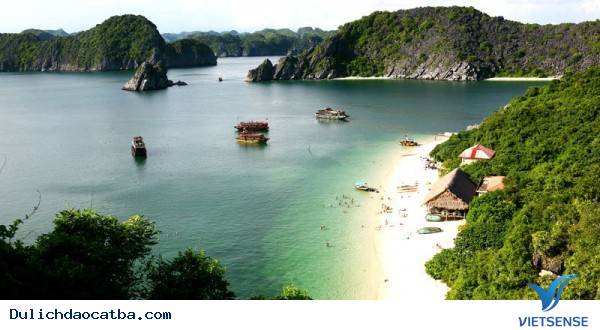 Lượng Khách Đến Cát Bà Tăng Đột Biến Vì Đâu - Ảnh 4