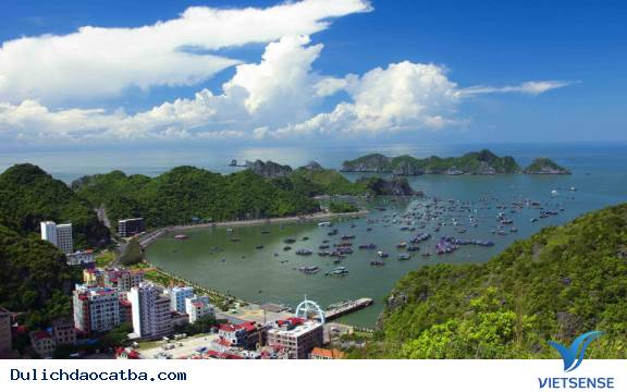 Cầu vượt biển Tân Vũ - Lạch Huyện - Ảnh 4