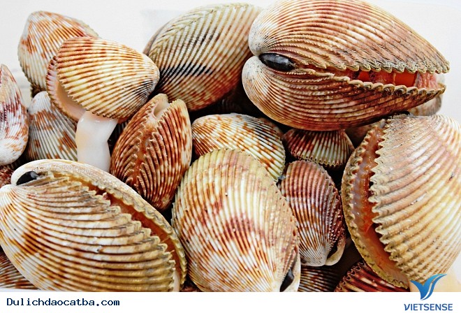 Sò huyết nướng mọi