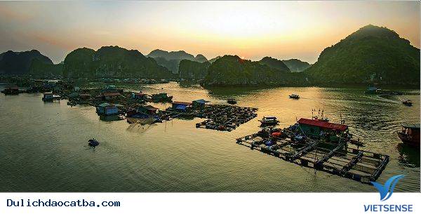 Tham quan vịnh Lan Hạ - Ảnh 2