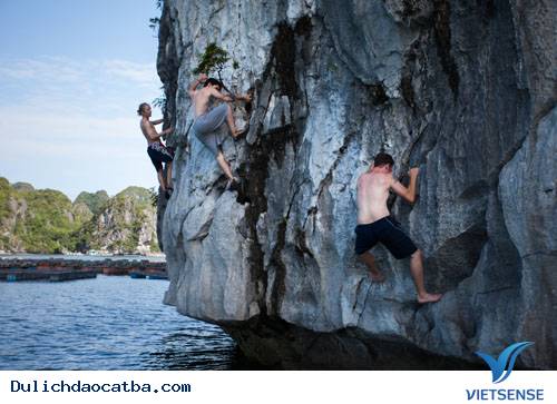 Bõ công vượt khó - Ảnh 3