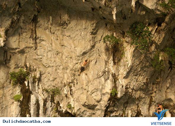 Bõ công vượt khó - Ảnh 2