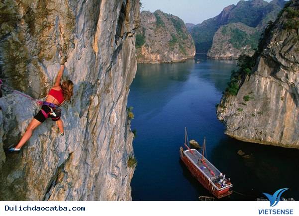 Rẻ vẫn xắt ra miếng