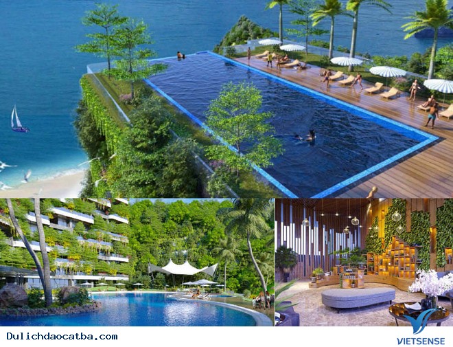 Sức Hút Đầu Tư Từ hành trình Nghỉ Dưỡng Tại Cát Bà - Ảnh 5 Sức Hút Đầu Tư Từ hành trình Nghỉ Dưỡng Tại Cát Bà - Ảnh 5