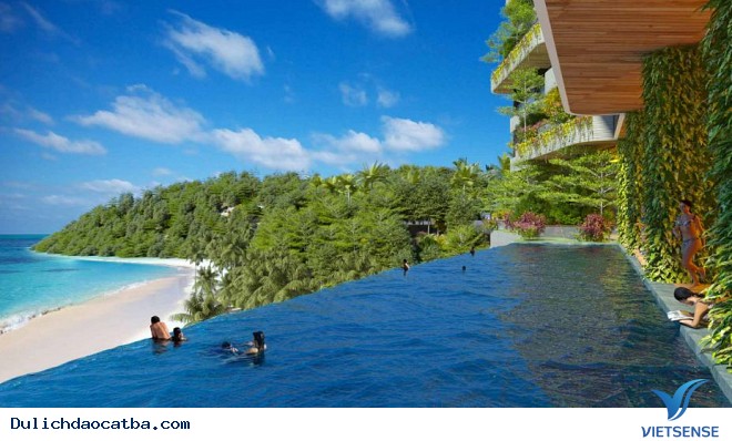 Sức Hút Đầu Tư Từ hành trình Nghỉ Dưỡng Tại Cát Bà - Ảnh 4 Sức Hút Đầu Tư Từ hành trình Nghỉ Dưỡng Tại Cát Bà - Ảnh 4