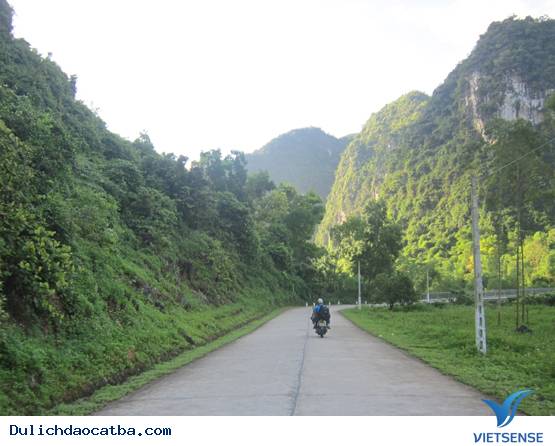 Vi Vu Cát Bà - Ảnh 1