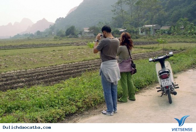 Vi Vu Cát Bà - Ảnh 5