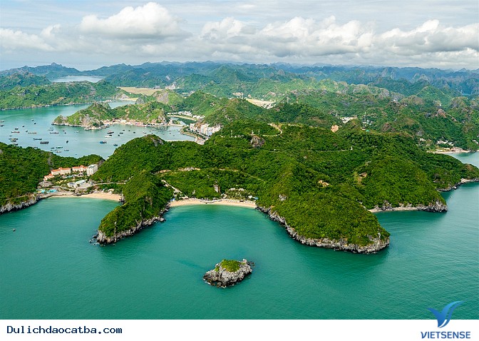 Đình chỉ tàu hành trình không đủ điều kiện tại Cát Bà - Ảnh 1