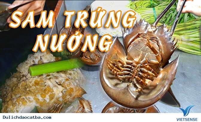 Toàn bộ Kinh Nghiệm Khám Phá vịnh Lan Hạ ==MON:11= - Ảnh 6