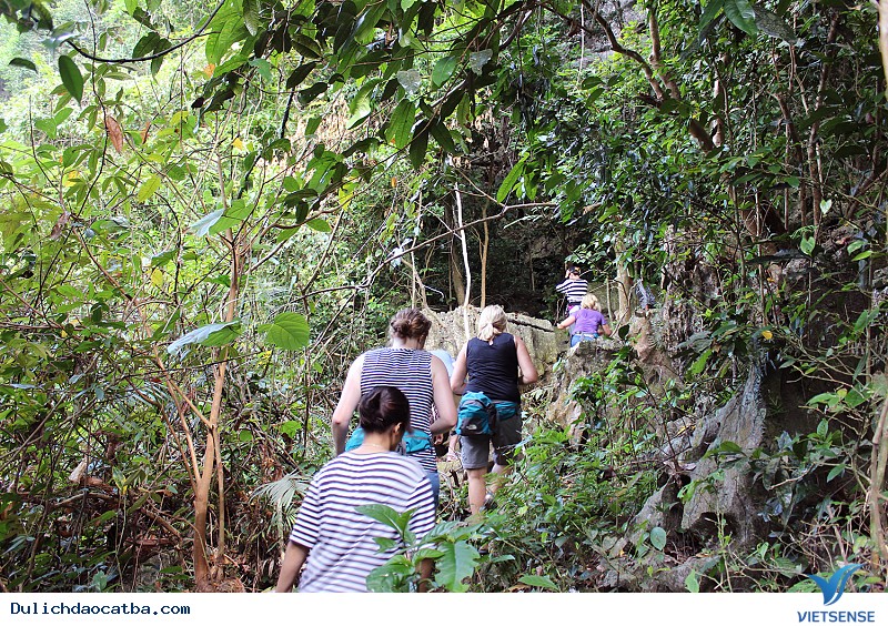 Ghé vườn Quốc gia Cát Bà thăm đường độc đạo - Ảnh 2