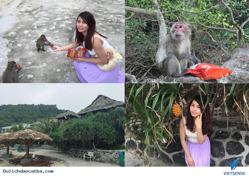 Đảo khỉ Cát Bà - Ảnh 2 Đảo khỉ Cát Bà - Ảnh 2