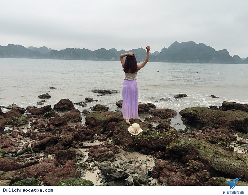 Đảo khỉ Cát Bà - Ảnh 1 Đảo khỉ Cát Bà - Ảnh 1