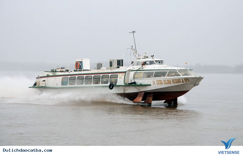 Tàu cao tốc Tàu cao tốc