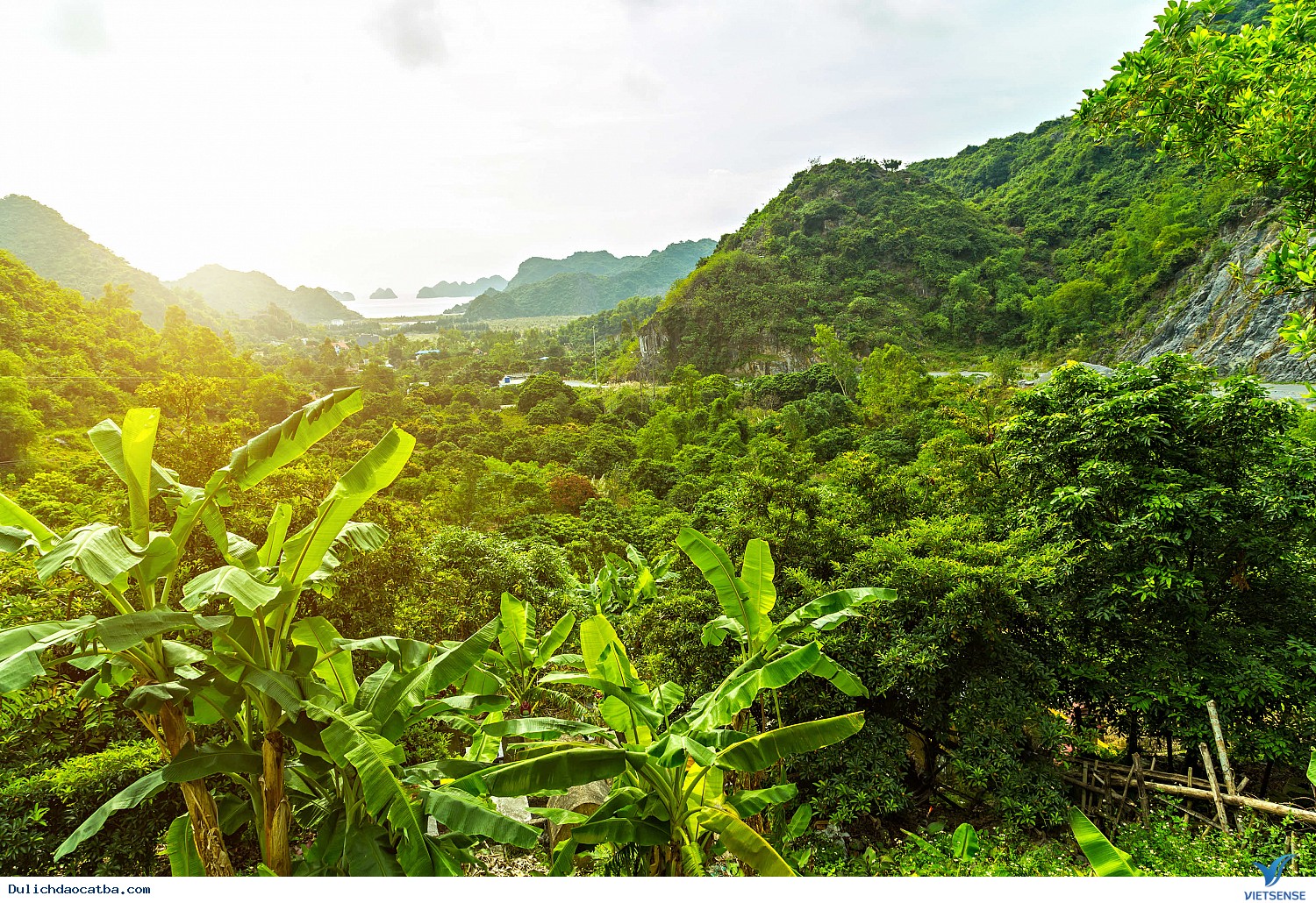 5 điểm đến hấp dẫn nhất tại đảo Cát Bà - Ảnh 2