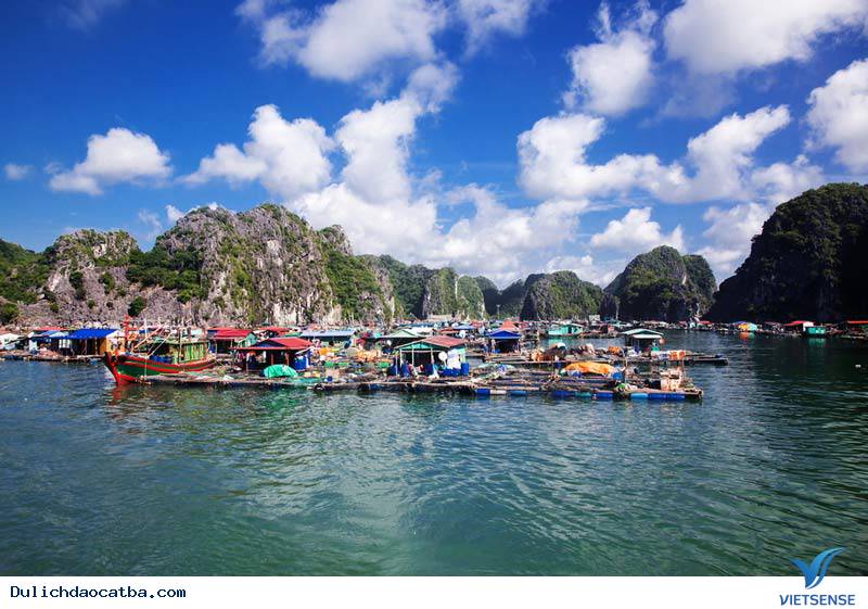 LÀNG CHÀI CÁI BÈO LÀNG CHÀI CÁI BÈO