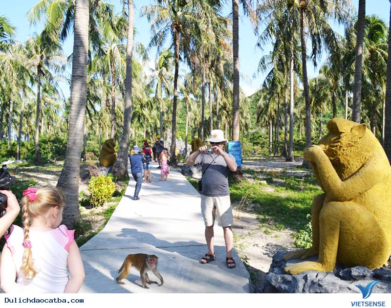 Tham quan đảo Khỉ Tham quan đảo Khỉ