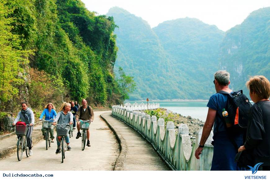 Bạn có thể làm gì ở Làng Chài Việt Hải ?