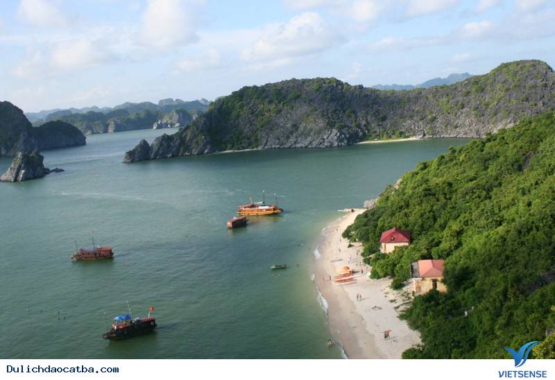 Đảo khí Đảo cát dứa