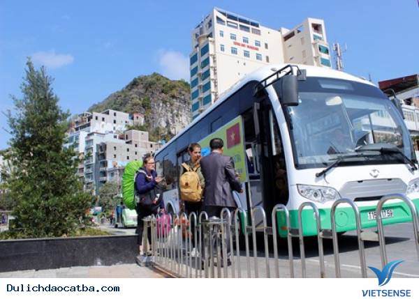 Bổ sung thêm nhiều tuyến xe điện trên đảo Cát Bà - Ảnh 1
