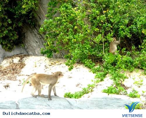 Chèo Kayak Khám Phá Vịnh Lan Hạ - Ảnh 2