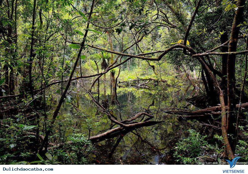 Chinh phục đỉnh Ngự Lâm như thế nào ? - Ảnh 1