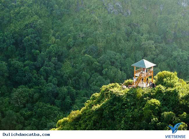 Chinh phục đỉnh Ngự Lâm như thế nào ? - Ảnh 2