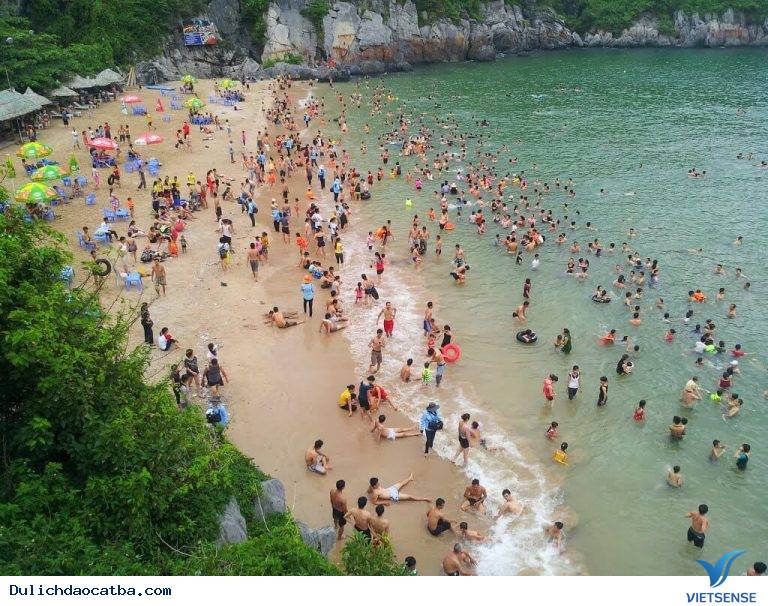 Bãi cát cò 1 - Ảnh 2