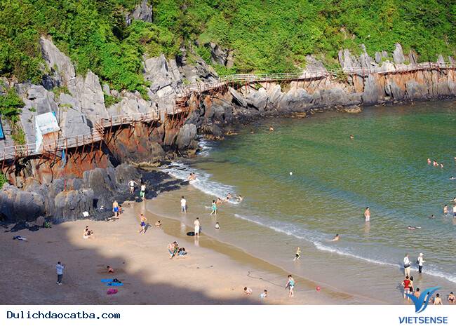 Bãi cát cò 1 - Ảnh 1