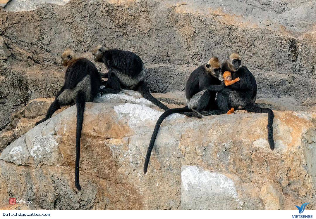 Du lịch Cát Bà mùa thu đông