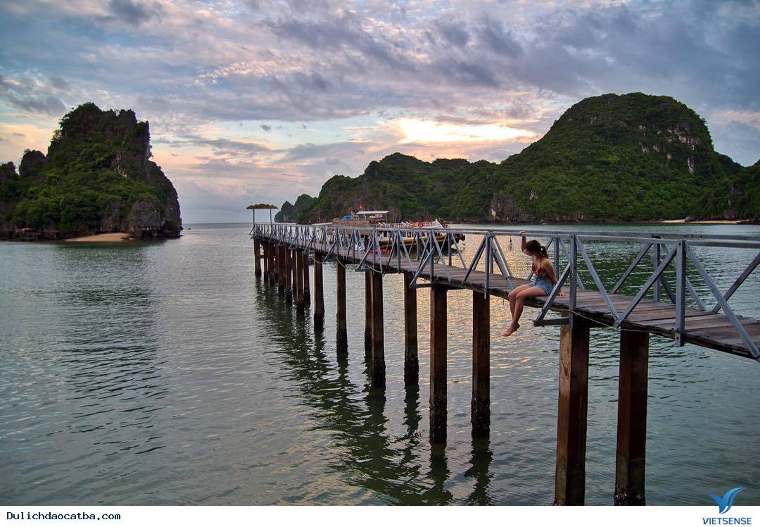 Cách di chuyển như thế nào? - Ảnh 3 Cách di chuyển như thế nào? - Ảnh 3