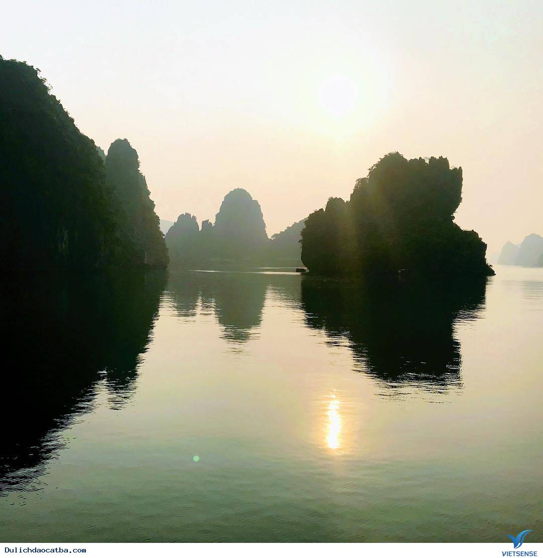 Cách di chuyển như thế nào? - Ảnh 1 Cách di chuyển như thế nào? - Ảnh 1