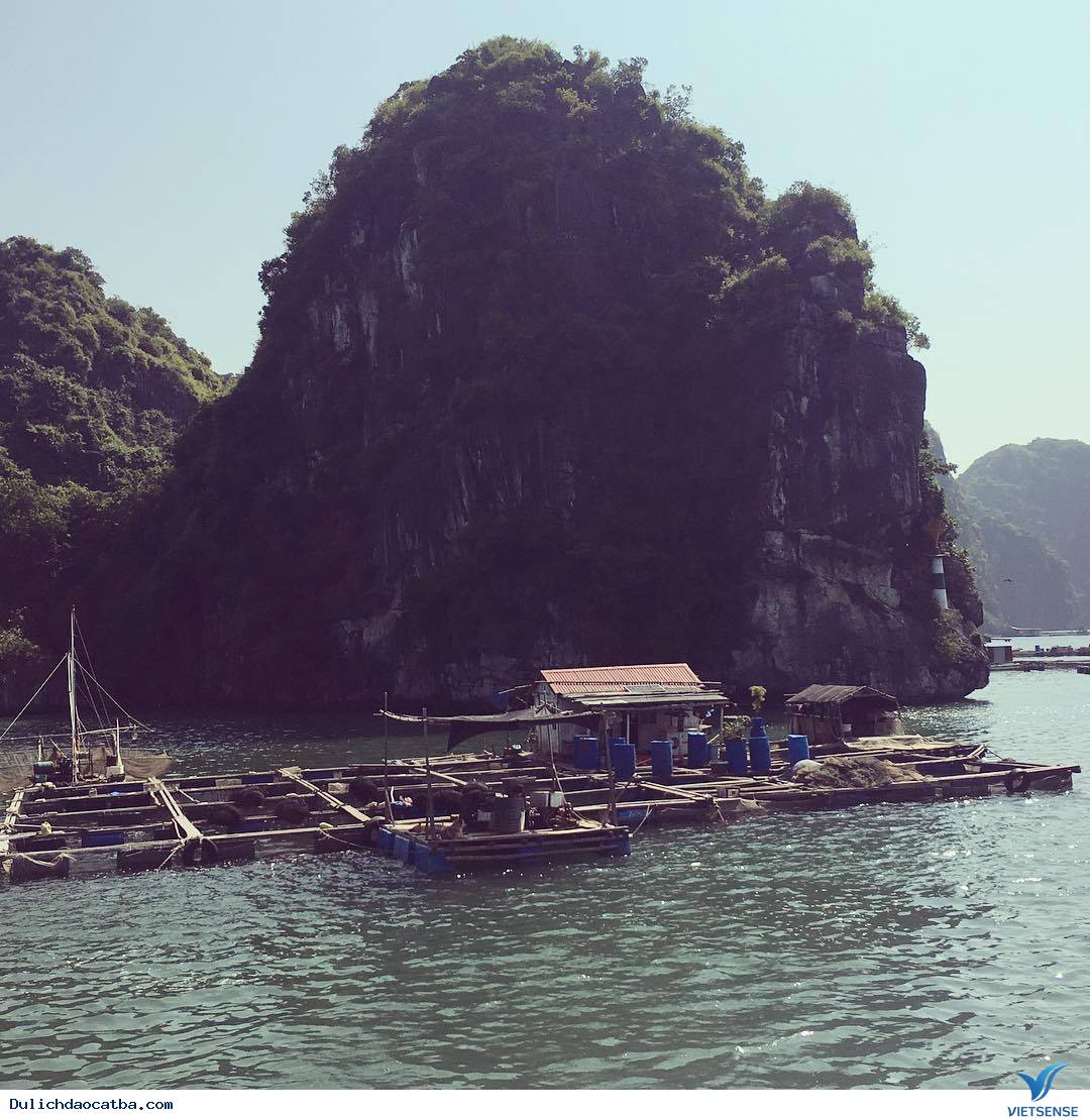 Say trước vẻ đẹp đảo nhỏ Nam Cát - Ảnh 1 Say trước vẻ đẹp đảo nhỏ Nam Cát - Ảnh 1