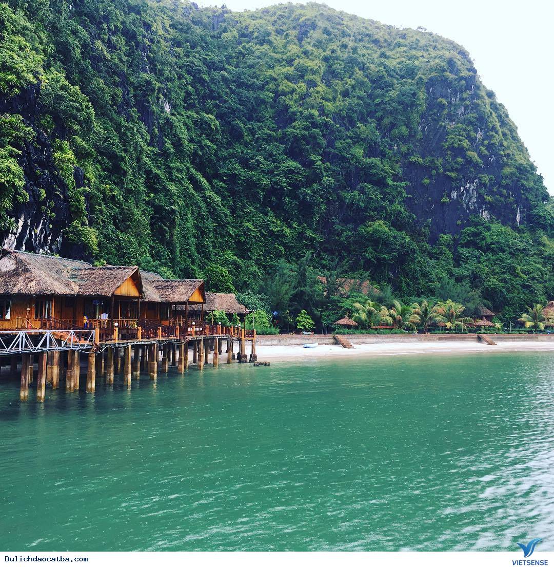 Những bức ảnh tuyệt đẹp trên đảo Nam Cát - Ảnh 6 Những bức ảnh tuyệt đẹp trên đảo Nam Cát - Ảnh 6