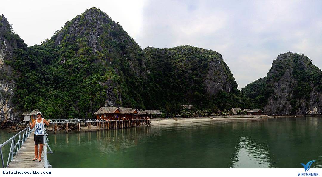 Cách di chuyển như thế nào? - Ảnh 2 Cách di chuyển như thế nào? - Ảnh 2