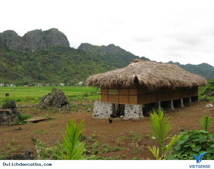 Đảo Cát Bà - Nơi Giao Thoa Của Rừng Vàng Biển Bạc - Ảnh 6