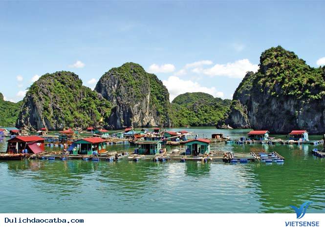 Đảo Cát Bà - Nơi Giao Thoa Của Rừng Vàng Biển Bạc - Ảnh 2