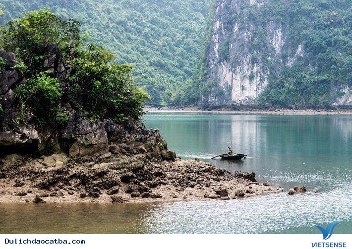 Đảo Cát Bà - Nơi Giao Thoa Của Rừng Vàng Biển Bạc - Ảnh 7