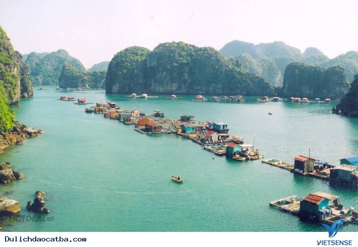 Đảo Cát Bà - Nơi Giao Thoa Của Rừng Vàng Biển Bạc - Ảnh 5