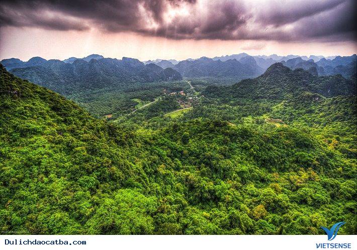 Đảo Cát Bà - Nơi Giao Thoa Của Rừng Vàng Biển Bạc - Ảnh 4