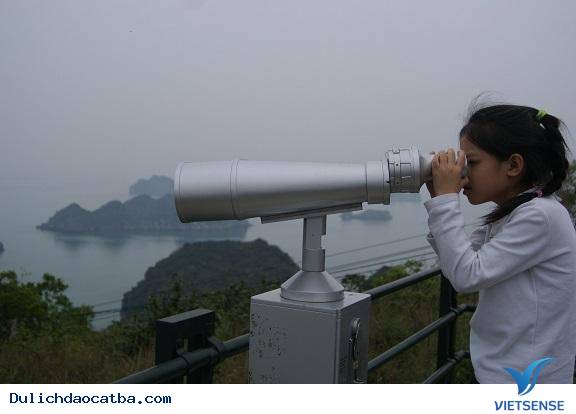 Đảo Cát Bà - Điểm Đến hành trình Tiềm Năng - Ảnh 3