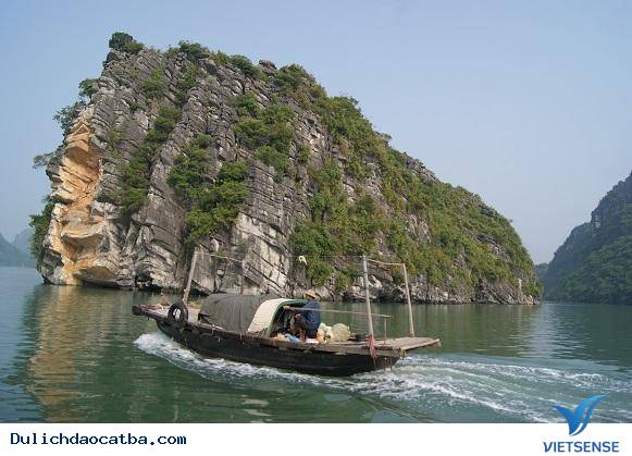 Đảo Cát Bà - Điểm Đến hành trình Tiềm Năng - Ảnh 1