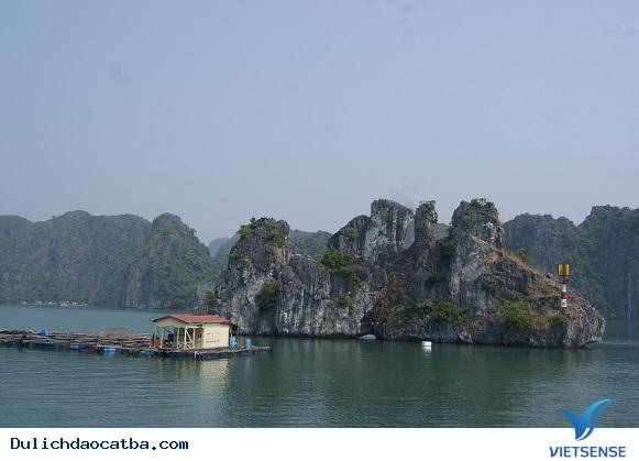 Đảo Cát Bà - Điểm Đến hành trình Tiềm Năng - Ảnh 2