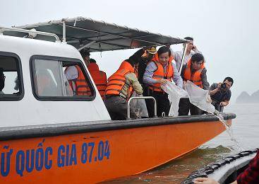 Đảo Cát Bà Tổ Chức Lễ Cầu Ngư, Ra Quân Vụ Cá - Ảnh 4 Đảo Cát Bà Tổ Chức Lễ Cầu Ngư, Ra Quân Vụ Cá - Ảnh 4