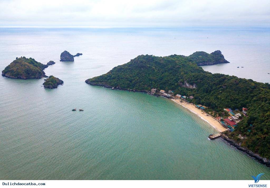 Đảo Cát Ông có gì ?