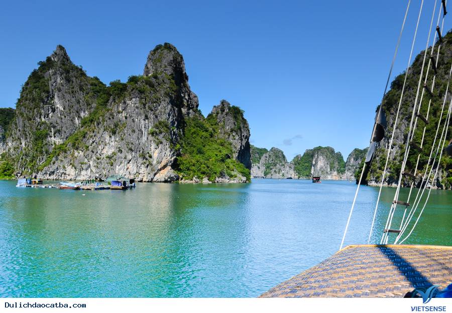 Đảo Vụng Hà có gì độc đáo ? Đảo Vụng Hà có gì độc đáo ?