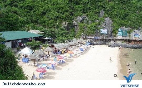 Tắm biển ở bãi Cát Cò Tắm biển ở bãi Cát Cò