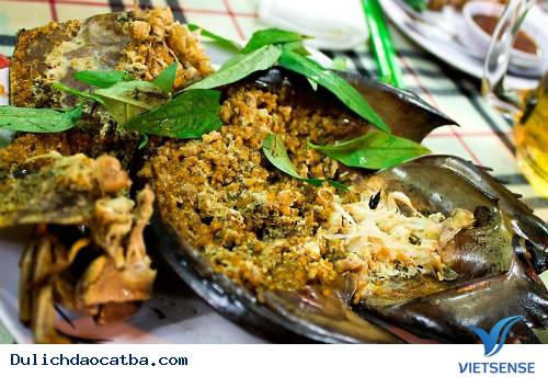 Đến Cát Bà Thưởng Thức Đặc Sản Sam Biển Nướng - Ảnh 2 Đến Cát Bà Thưởng Thức Đặc Sản Sam Biển Nướng - Ảnh 2