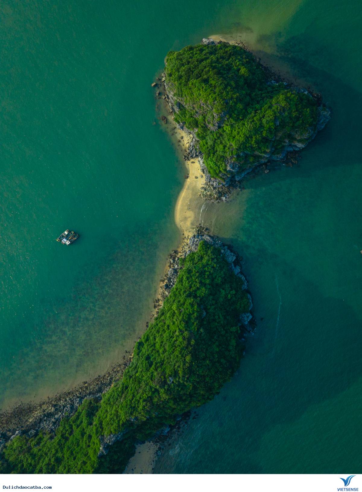 Di chuyển tới vịnh Lan Hạ