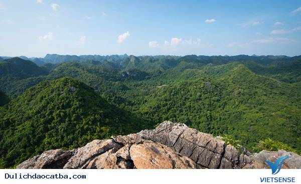 Đỉnh Ngự Lâm có gì ?