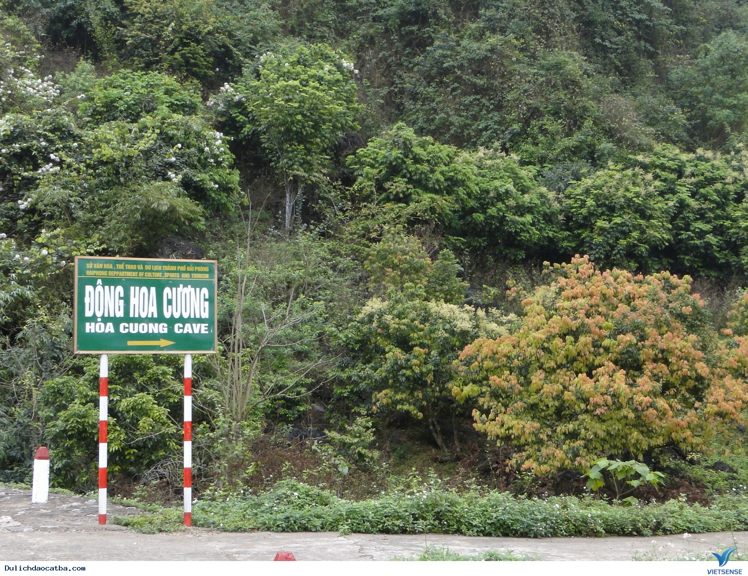 Động Đá Hoa Cương - Ảnh 1 Động Đá Hoa Cương - Ảnh 1